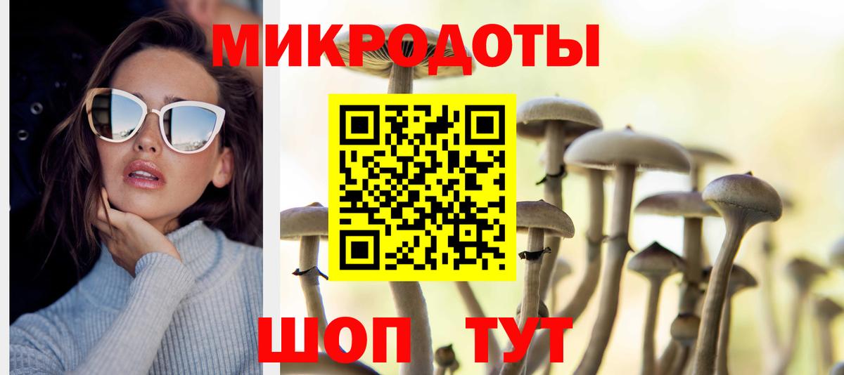 закладки  Вход с VPN  Владивосток  Псилоцибиновые грибы GOLDEN TEACHER 